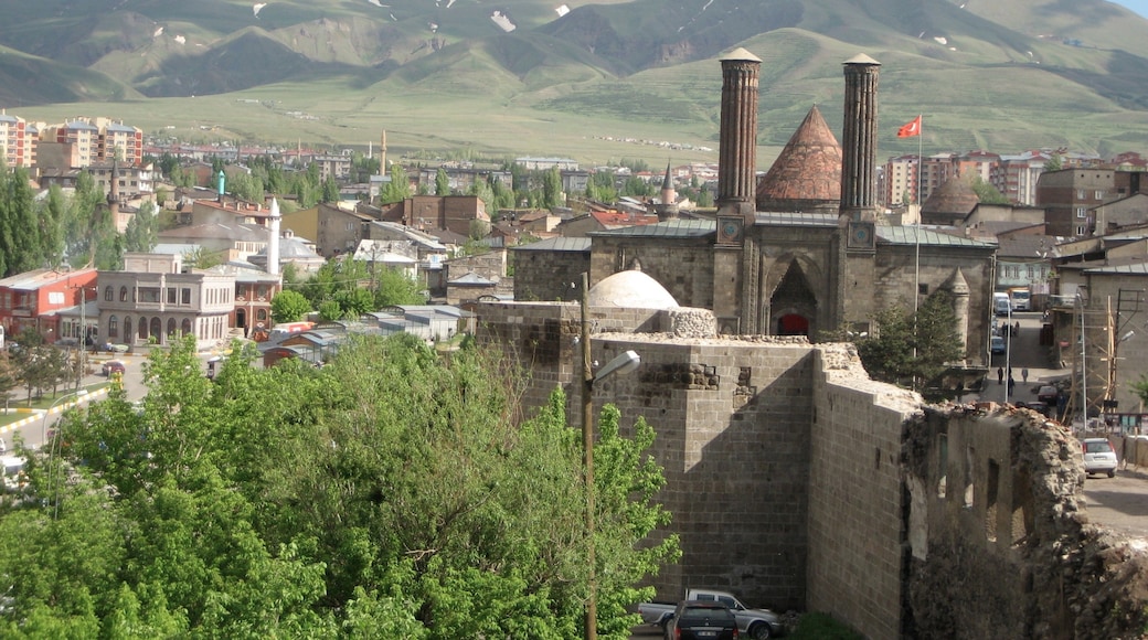 Erzurum City Center, Erzurum, Erzurum Province, Türkiye