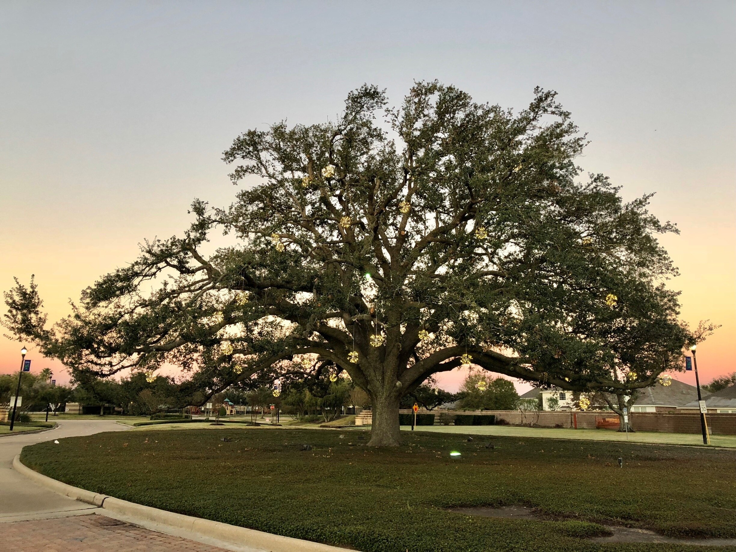 Cypress TX Vacation Rentals House Rentals More Vrbo