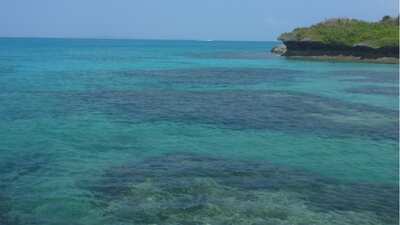 아라구스쿠 섬 자유여행! 항공권+호텔, 에어텔 예약은? ✈️🏨 | 익스피디아