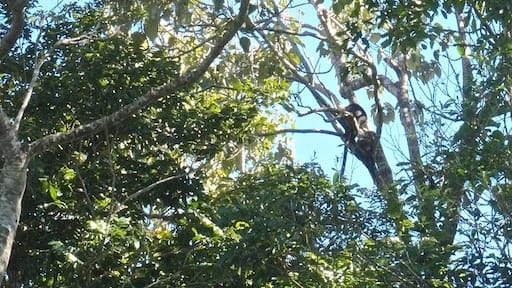 ์ฌ์ง ์ ๊ณต: Cheskie's Gap Life