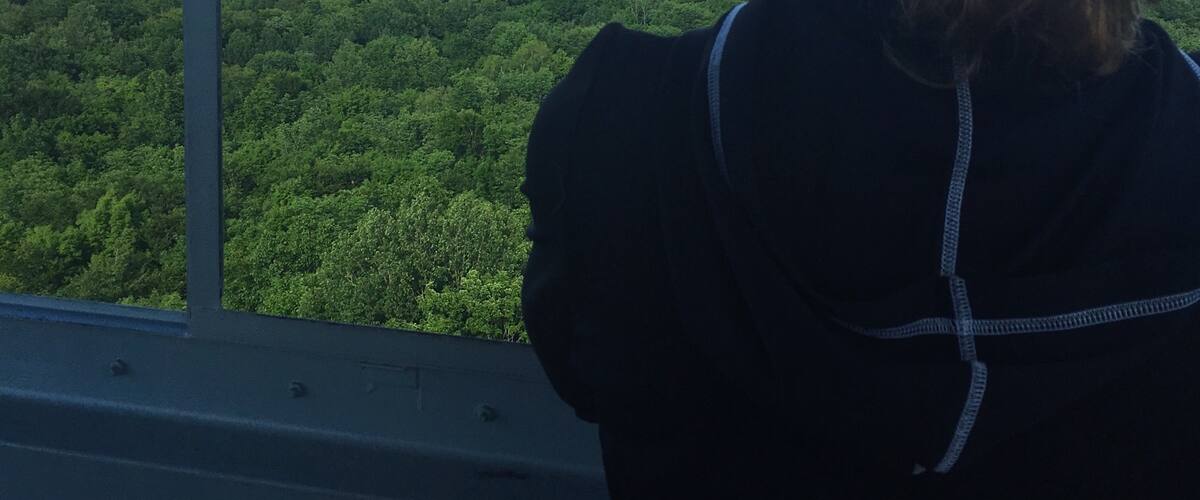 Views