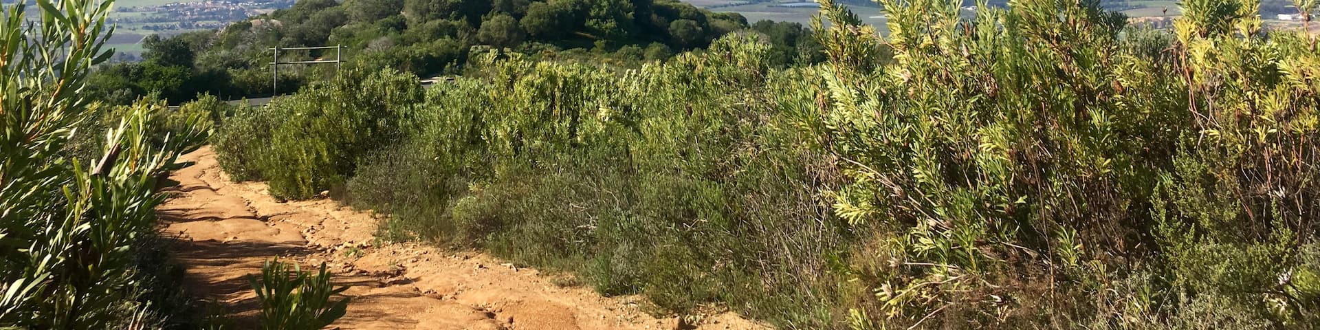 Paarl, Western Cape, South Africa