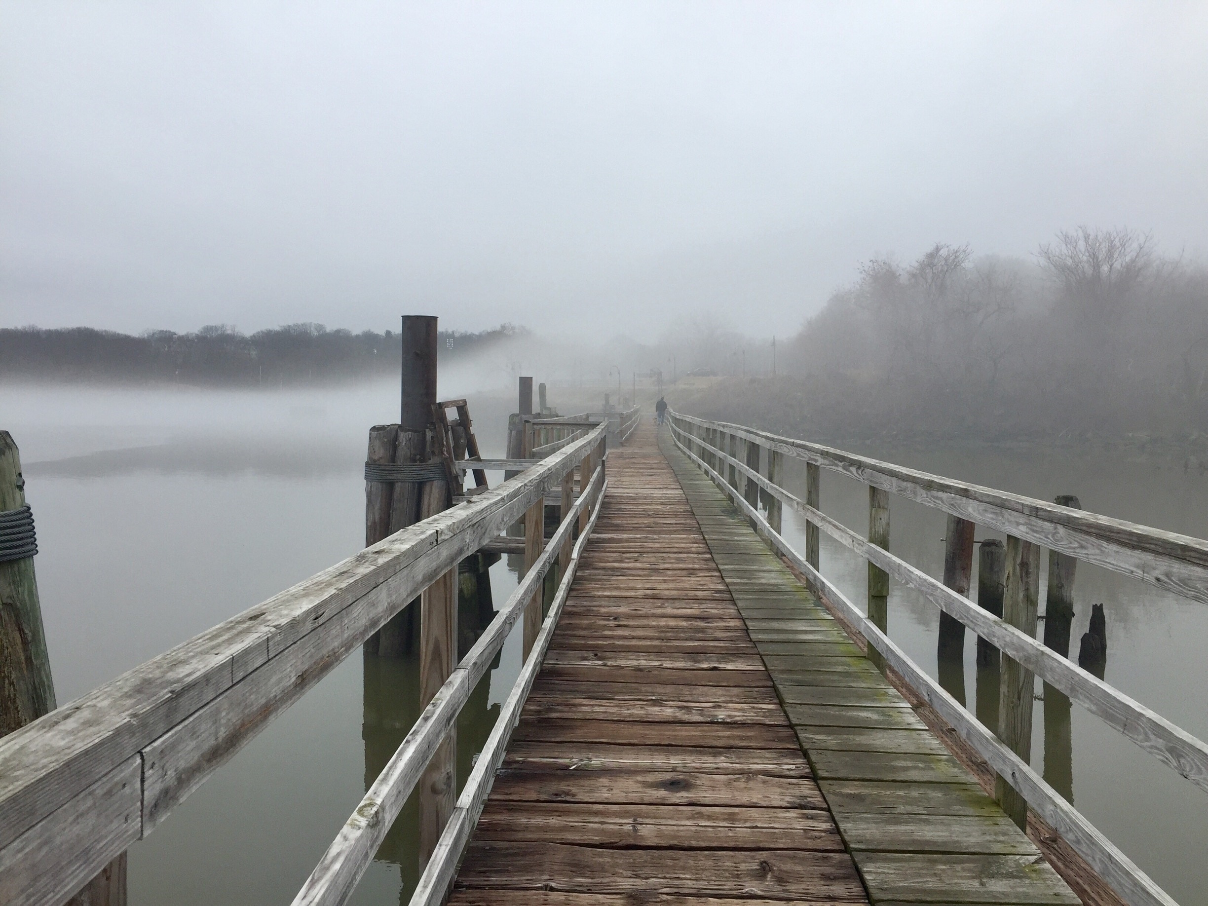 Spent a foggy morning looking for bald eagles. Did not see any but enjoyed the walk. 