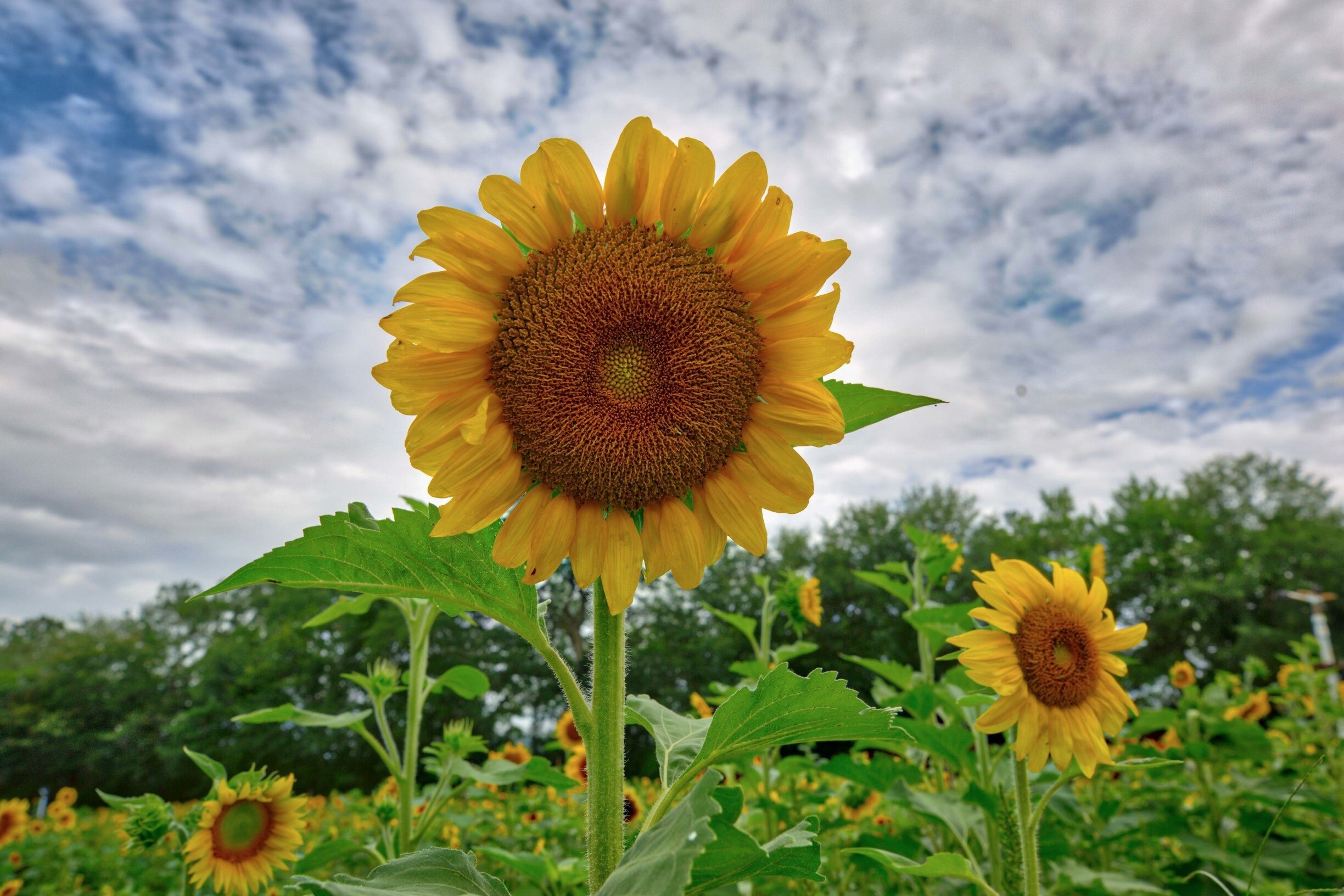 Photo by Gail Mitchell