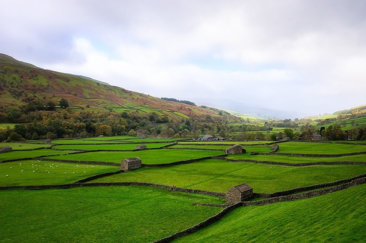 Photo by Janine Edmondson