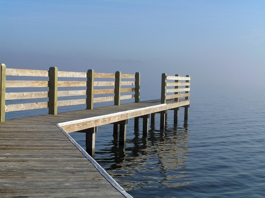 The fog was just beginning to roll in on Lake Phelps in Pettigrew State Park in eastern North Carolina.