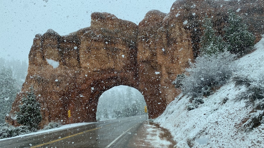 Red Canyon