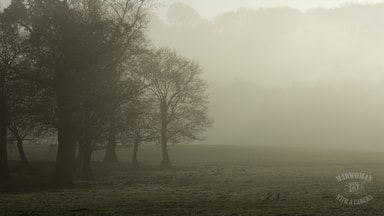 Thick fog & clear skies...