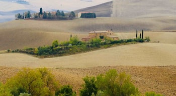 Italia my lovely country dal cuore! My father is from Lucca.
I went there always I can. This photo was around Val’Dorcia