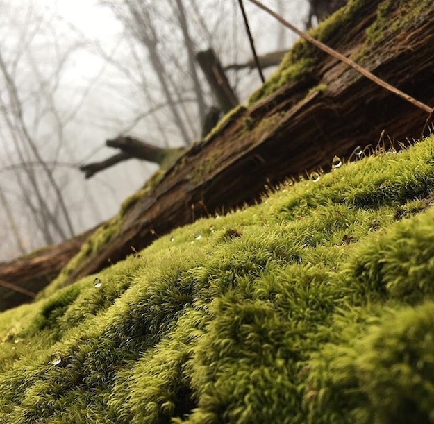 sometimes the greatest adventures are in your own backyard