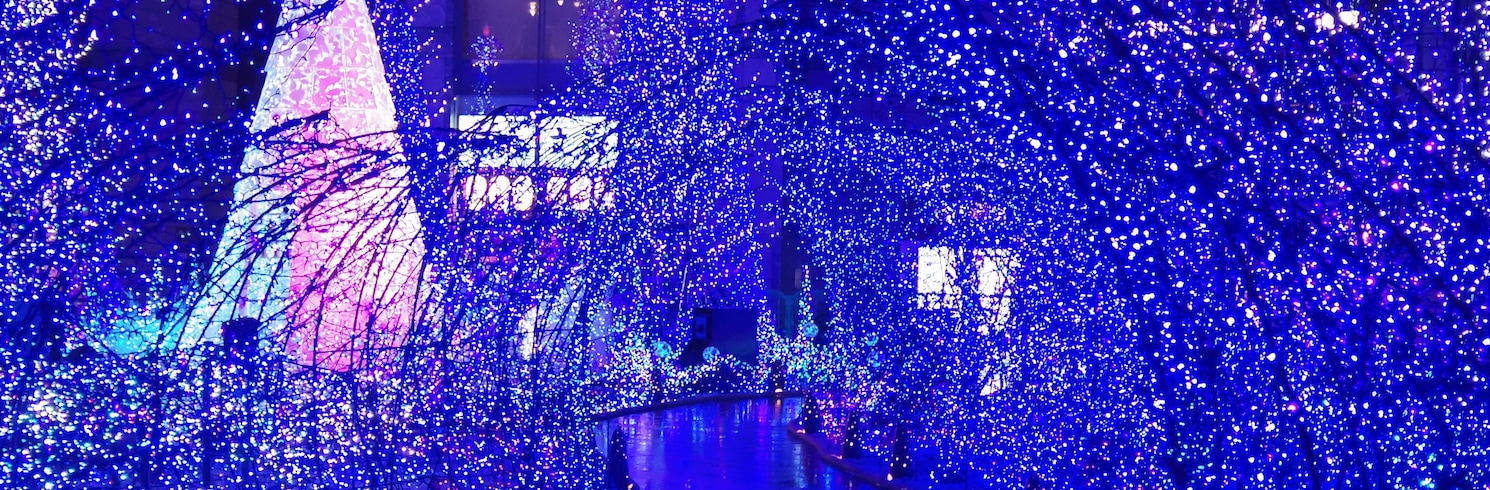 Tokio, Japonia