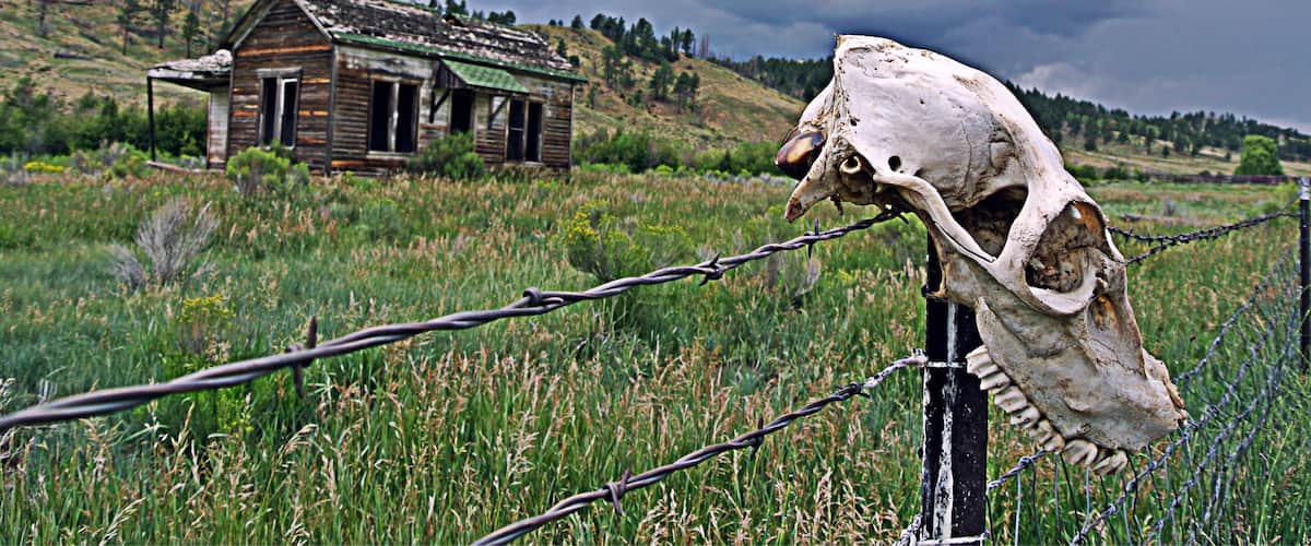 This house was calling to be photographed. The skull was a nice surprise. July 28, 2014