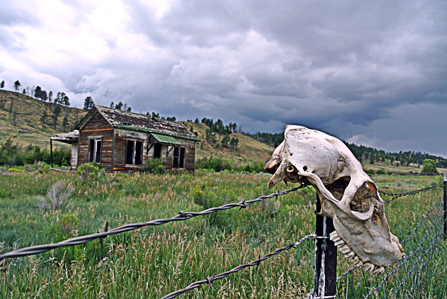 This house was calling to be photographed. The skull was a nice surprise. July 28, 2014