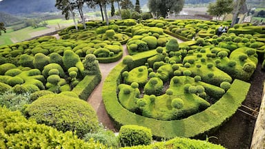 One of Perigord's most popular attractions, the spectacular topiary of the Marqueyssac Gardens are something to behold.  Over 150,000 boxwoods have been trimmed to perfection in this wonderful display set atop a ridge with panoramic views (see other pic).