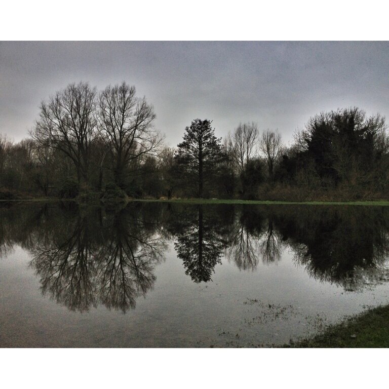 Photo by Richard Roberts