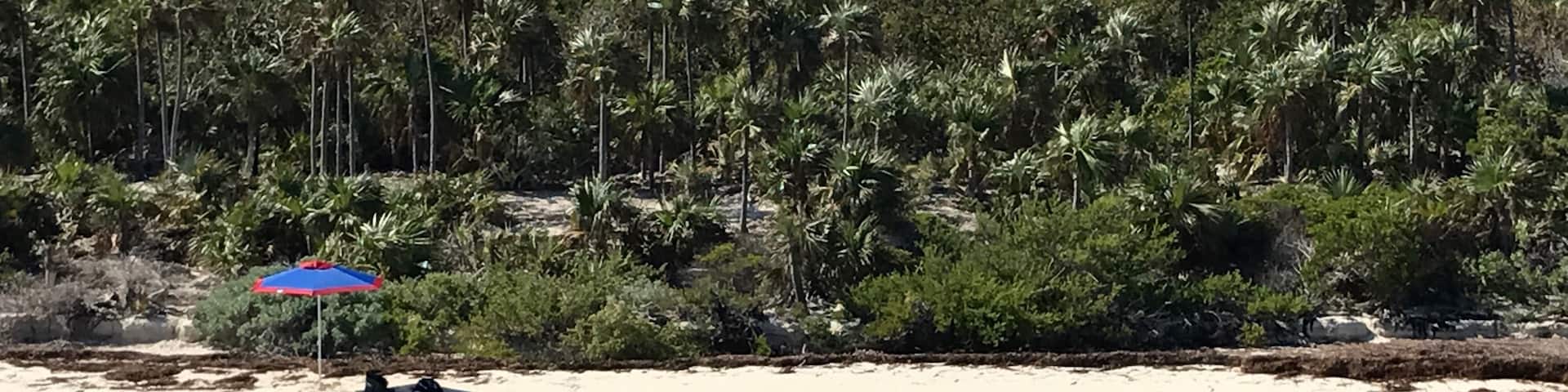 We spend a lot of time working in the Bahamas, this is one of my favorite spots. It's called Hogs Cay, just south of Wadderick Wells. It's a quiet, little hidden gem but I'd still advise to call the park ahead of time to ensure you get your spot on 1 of only 5 mooring balls (that range in tonnage restrictions). When the tides change the aft deck of our boat is a jump across from the beach. It's just divine
