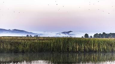 Early morning view from the slough as the fog rolls over the California hills. #NikonD850