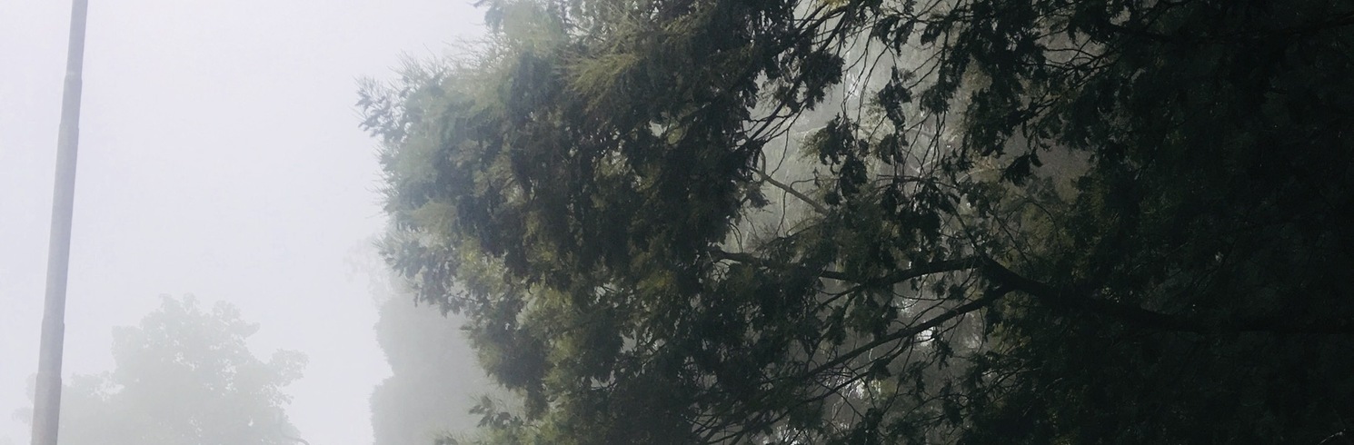 Kodaikanal, Ấn Độ