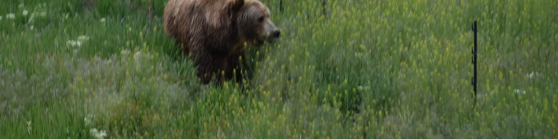 瑞克斯堡, 愛達荷, 美國