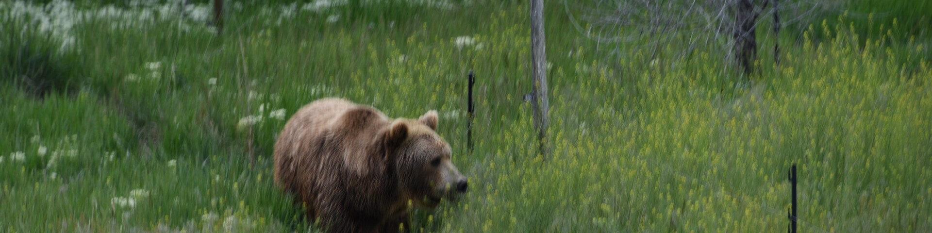 Rexburg, Idaho, United States of America