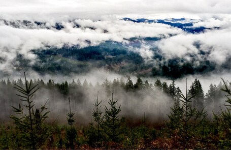 value: "The Bells Mountain Trail in Clark County is obviously in no way connected to the more famous Bells Mountain Wilderness in Missouri.  The trail which bears its name does not ascend or in any way touch the actual mountain.  But it bears some of the most beautiful views of the mountain from directly across the valley.  This was taken today (2015-01-11), on an extremely cloudy, foggy and generally soggy day.  But look at what you get to see, even in the middle of our waterlogged winters.  One drawback is that you have to pass through a lot of clear-cut forest on the trail side of the valley.  I say that, realizing now that almost none of these vistas would be possible otherwize.  "
