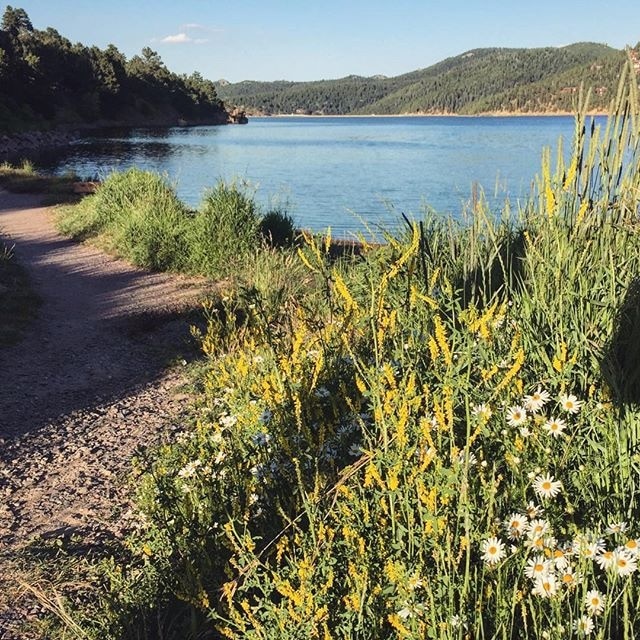 Can I be back in the #mountains now? #Nederland #Colorado #lake #wildflowers #nature #WeekendGetaway 