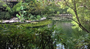 Two restaurants sharing a beautiful Koi fish pond. Is walking distance from The Kuala Lumpur Performing Arts Centre