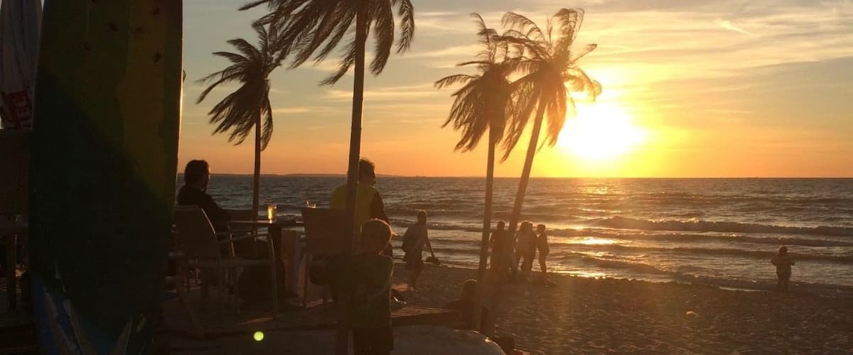 #LifeAtExpedia
I could believe after I took this picture. Palms in Poland? WOW ;)
This is a very nice cocktail bar and the sunset here was my first sunset ever.