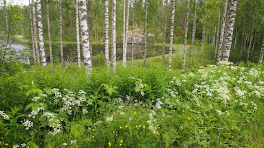 The nature in Finland is full of peace and quiet, and is in many ways a source of health.