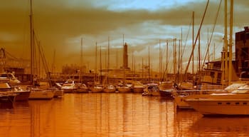 Port of Genoa with the oldest working lighthouse in the world
#sunset