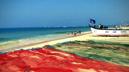 Photo by Martin Gerrish