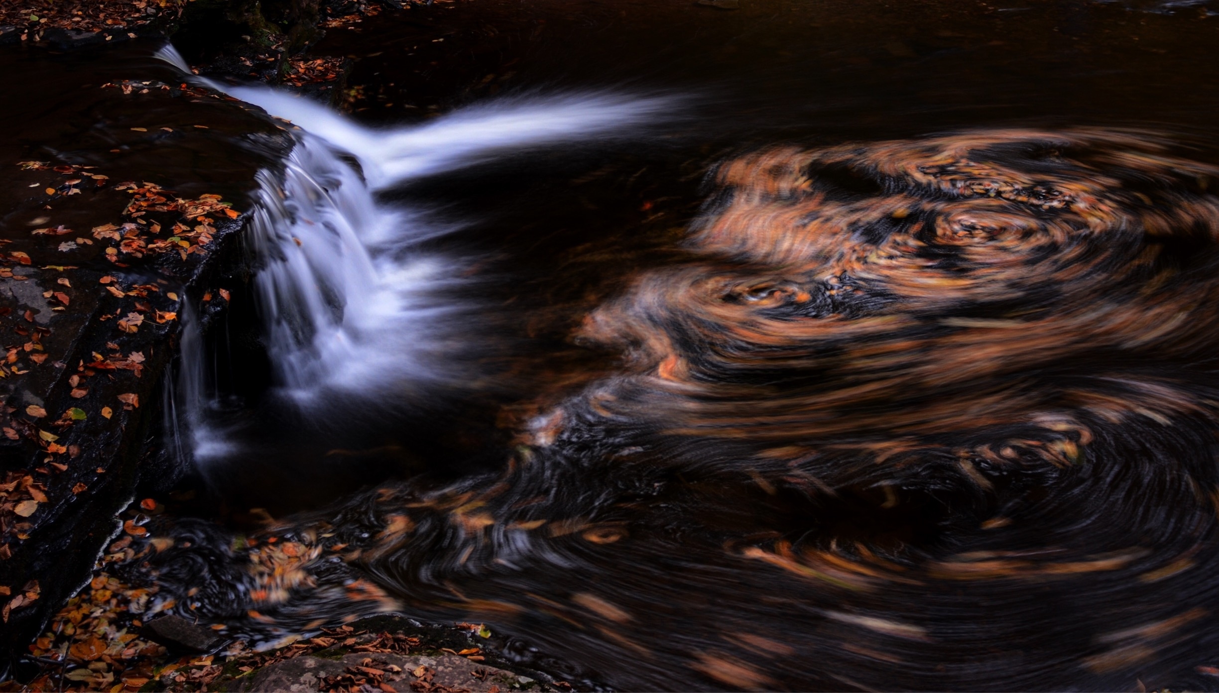 Top 20 Ricketts Glen State Park, Sweet Valley cabin rentals Vrbo