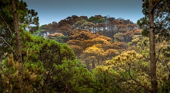 Colorful mountain