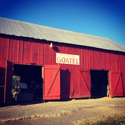 Goatel