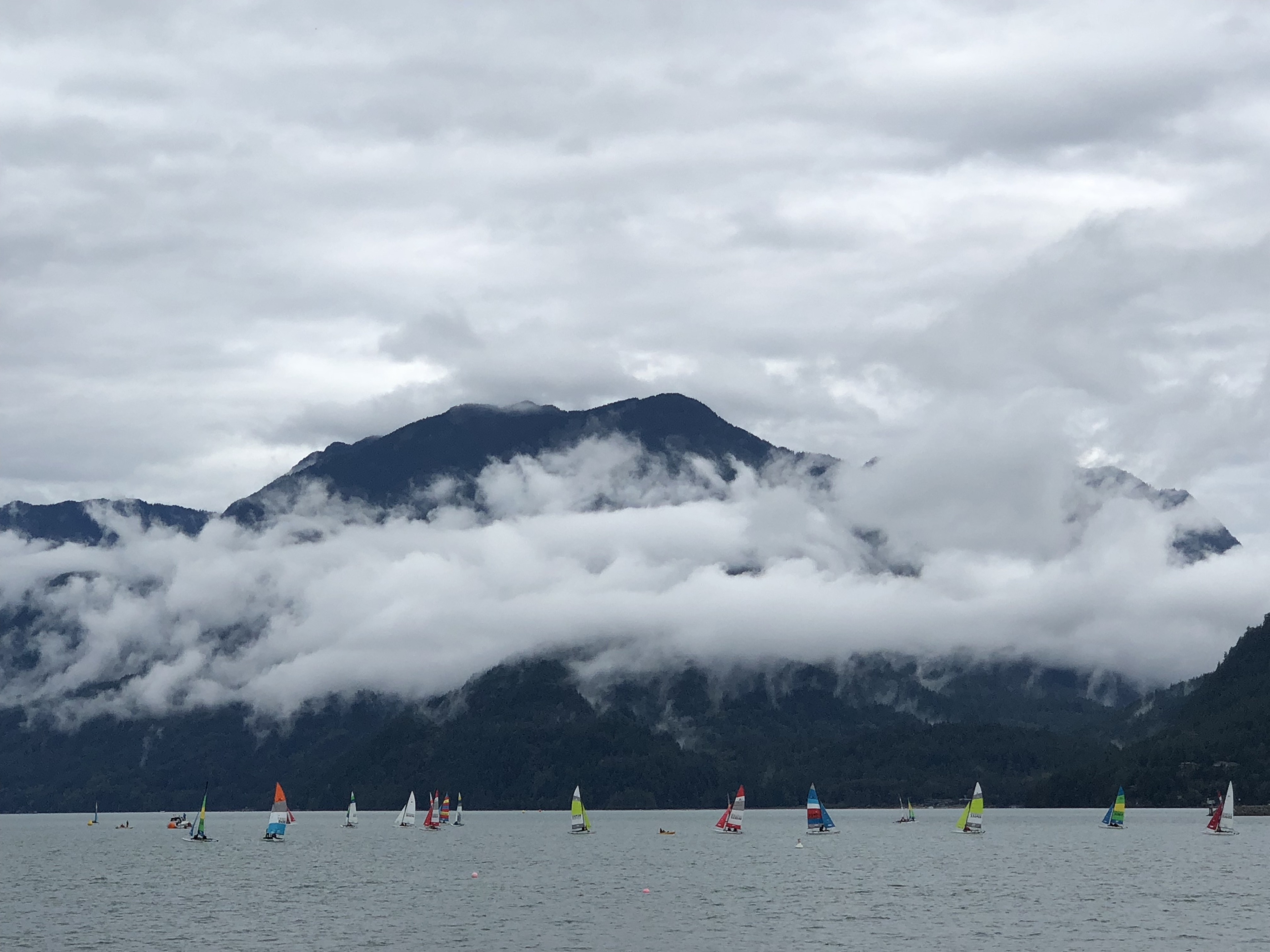 Mid-September sail boats on lake. Only color to see during a gray rainy day.