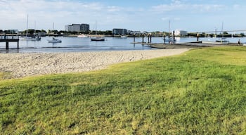 Buy some fish and chips nearby at the local store and eat it on the grass by the Brisbane River. #green  #lifeatexpedia 
