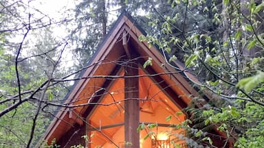 Located in the gated Snowline resort-recreational development, this 2-story, 1-bedroom family vacation cabin with a private hot tub offers Guests with summer access to all community recreational amenities. Book through Mt. Baker Lodging - 1-800-709-7669.