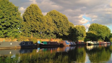 One of the many beautiful walks in London :) River Lea and Springfield Park in the North East of London