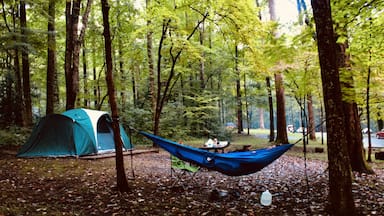 Relaxing at camping. Cosby really beautiful place I love it. 💚😍🏕