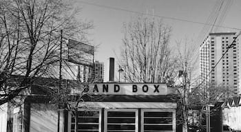 Band Box Diner on the edge of downtown Minneapolis is a welcome archive of the old school, still operating with a new grill but original decor. #snow