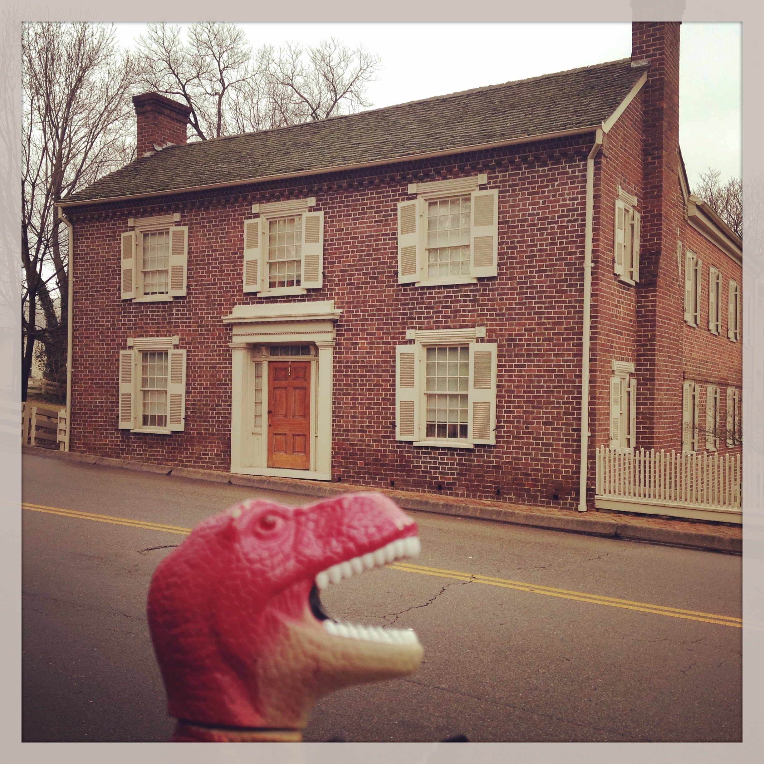17th President of the US
Greeneville, TN
Stanley the Dino travels 
