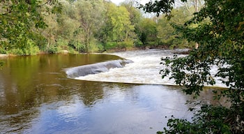 #localsecrets
Did you know Milwaukee has a secret waterfall?