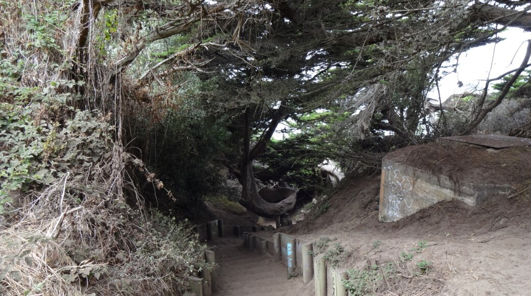 Coastal Trail, San Francisco, California, United States of America