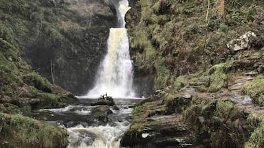 Beautiful waterfalls