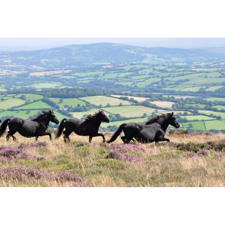 University of South Dakota, Vermillion Vacation Rentals house rentals