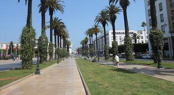 The Parliament Avenue. 