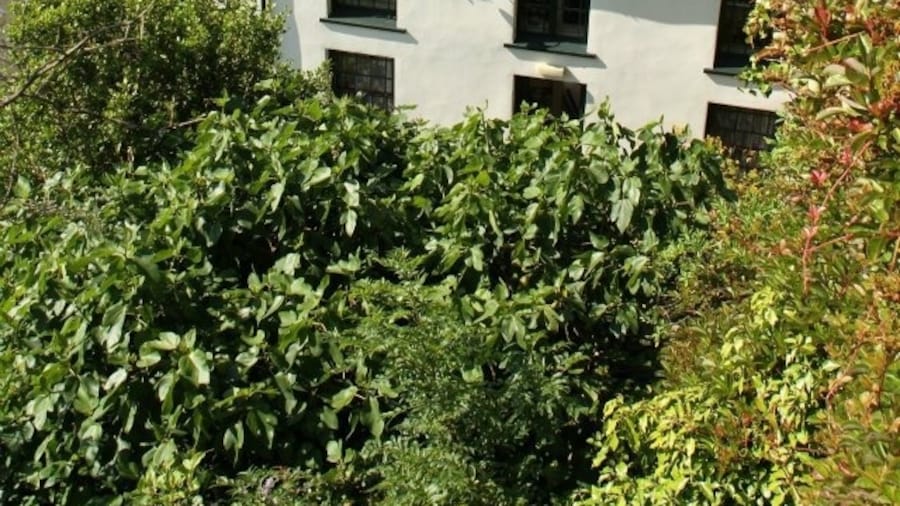 The home of writer Dylan Thomas - a peaceful and beautiful location.