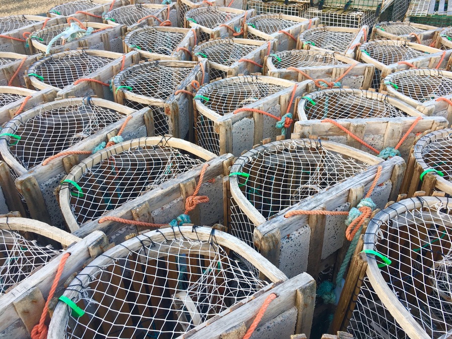 Lobster traps
