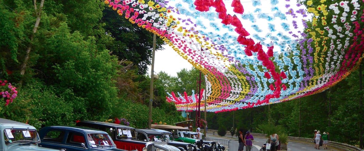 For many years the French government tried to suppress the Occitane culture that once dominated most of what is now southern France. Now, each year a 'Felibrée' celebrates this ancient culture in a different Périgord village. I'm not sure what the cars have to do with it...