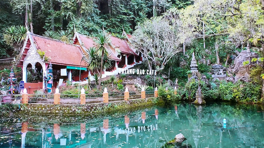 The entrance to Chiang Dao Cave is surrounded by Buddhist symbols and crystal clear blue waters filled with rather large koi and catfish.
The entrance fee for the caves is 40 baht, but i recommend hiring a guide with a lantern to take you a bit deeper into this amazing place. A guide currently costs 200baht (plus tip) and is worth every bit of it. Watch your head and step!
#Trovember #Thailand #ChiangDao #solotravel